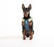 Шлея для собак Woolly Wolf Alpha 360 Harness Deep Teal Mix