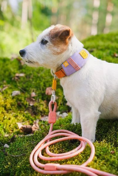 Нашийник для собак Alpha 360 Woolly Wolf Lavender Mix