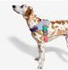 Шлея для собак Zee.Dog - Galaxy FlyHarness 12615 фото 5