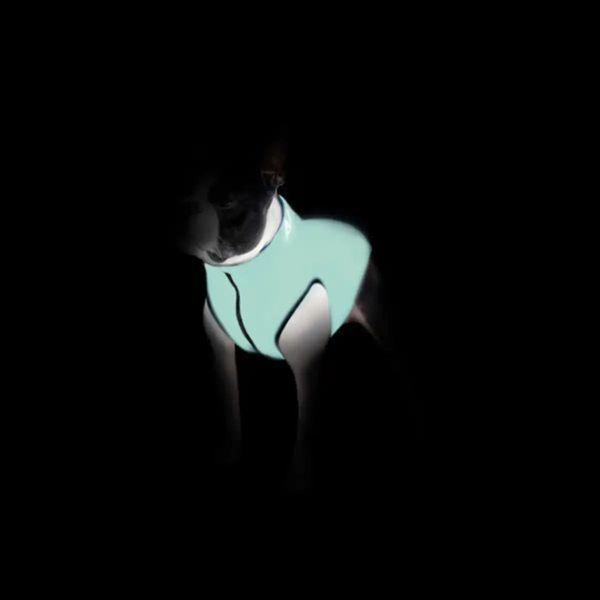 Курточка для собак AiryVest Lumi двухсторонняя, светящаяся в темноте, салатово-оранжевая. 14546 фото