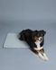 Коврик для собак Охлаждающий Cooling Blanket Grey Paikka 10227 фото 3