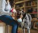 Іграшка для собак BackToSchool Collection - Beakers Pet Play 12308 фото 2