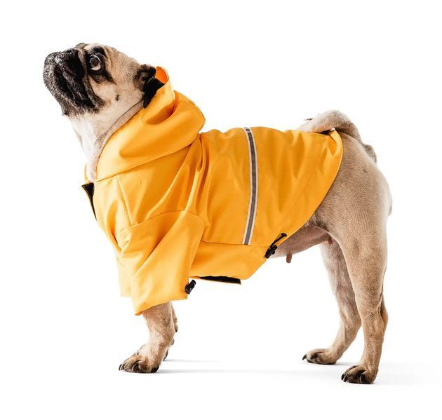 Дощовик для собак Moss Yellow - Noble pet 14401 фото