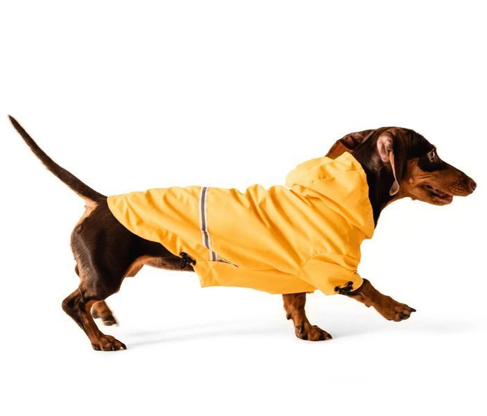 Дощовик для собак Moss Yellow - Noble pet 14401 фото