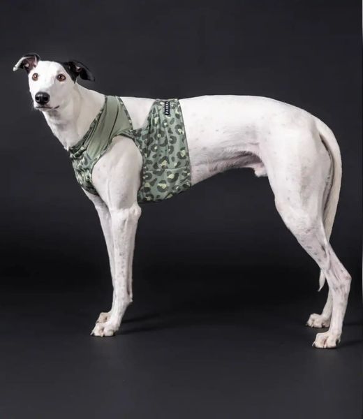 Охолоджувальний жилет для собак PAIKKA Cool Vest Green Leo