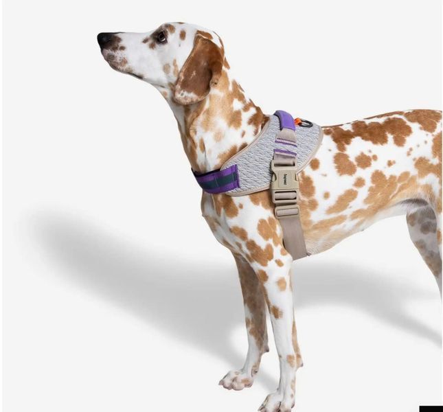 Шлея для собак Zee.Dog - ACG FlyHarness 12622 фото