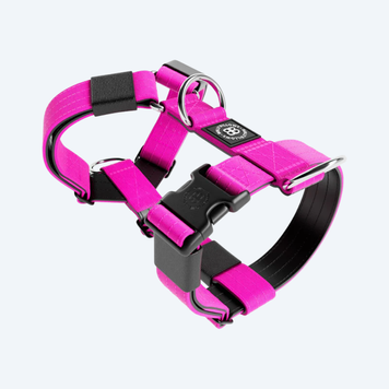 Шлейка для собак BullyBillows TRI-Harness v2.0 Anti-Pull фуксия 8978 фото