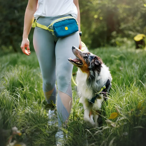 Поясная сумка для прогулок Woolly Wolf Alpha 360 Hip Pack 8423 фото
