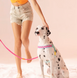 ШЛЕЯ ДЛЯ СОБАК Maogoublue - Bail coast  ADJUSTABLE HARNESS B1400 фото 3