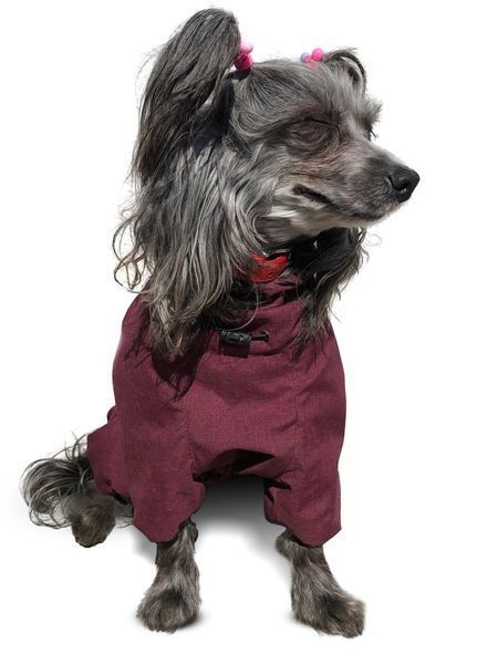 Комбинезон для собак Travis Grayish Red - Noble pet 14337 фото