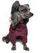 Комбинезон для собак Travis Grayish Red - Noble pet 14337 фото 6