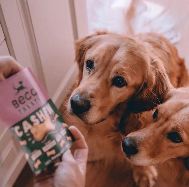 Печиво для собак Beco Pets Кеш'ю з гарбузовим насінням і морквою 70 г (рослинний білок) 10457 фото