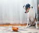 Игрушка для собак American Classic - Hot Dog Pet Play 12494 фото 4