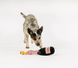 Игрушка для собак LuxeHotel Champagne Bottle Pet Play 10921 фото 3