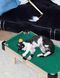Набор игрушек для кошек Vetreska Meownooker Cat Toy Set 8281 фото 2