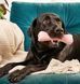 Жувальна іграшка з отвором для ласощів для собак Beco Pets Treat Bone Рожевий 10465 фото 3