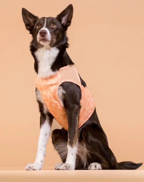 Охлаждающий жилет для собак PAIKKA Cool Vest Peach