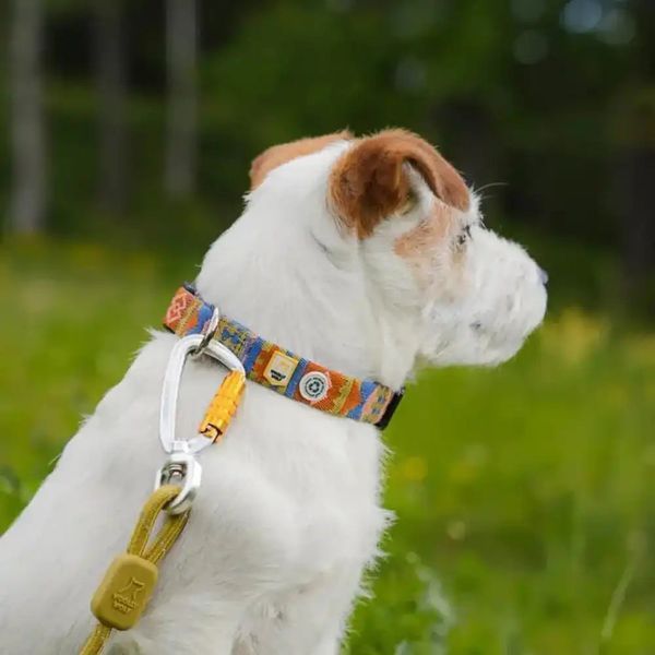 Повідець для собак Woolly Wolf Rope Leash Pistachio &ndash; 180 см