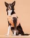Охлаждающий жилет для собак PAIKKA Cool Vest Peach