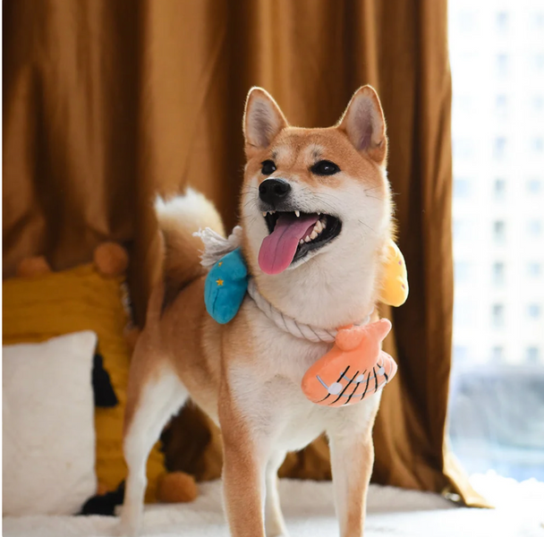 Іграшка-канат для собак PIRATE PUPS &ndash; SHELL NECKLACE Hug Smart B1428 фото