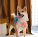 Іграшка-канат для собак PIRATE PUPS &ndash; SHELL NECKLACE Hug Smart B1428 фото 3