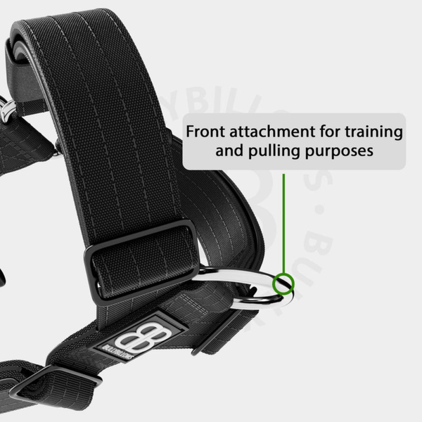 Шлея для собак BullyBillows TRI-Harness v2.0 Anti-Pull бірюзова 8969 фото
