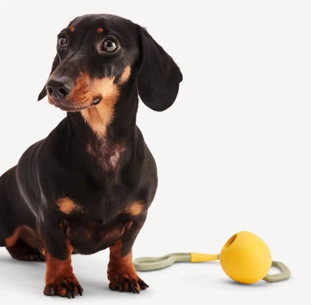 Игрушка мячик на веревке для собак Beco Pets Slinger Ball Желтый 10479 фото