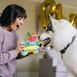 Мягкая игрушка для собак PetPlay - Party Animals Pi&ntilde;ata B1433 фото 3