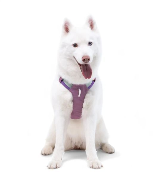 Шлейка для собак Woolly Wolf Alpha 360 Harness Mauve Mix