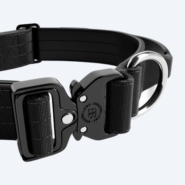 Ошейник для собак BullyBillows 4cm Combat v2.0 Black 9075 фото