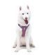 Шлейка для собак Woolly Wolf Alpha 360 Harness Mauve Mix