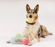 Іграшка для собак Pup Cup Cafe - Mutt-a-rons Pet Play 12174 фото 3