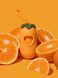 Набір біорозкладних пакетів для прибирання Vetreska Tangerine (7 рулонів) + диспенсер з ароматом мандарина 8286 фото 15