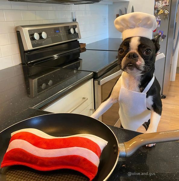 Іграшка для собак Clive & Bacon x PLAY - Bacon 10937 фото