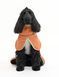 Флісовий пуловер для собак Alpha 360 Terracotta Mix Woolly Wolf
