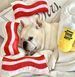 Іграшка для собак Clive & Bacon x PLAY - Bacon 10937 фото 5