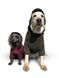 Комбинезон для собак Travis Khaki - Noble pet 14345 фото 6