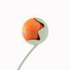 Игрушка мячик с отверстием для лакомства для собак Beco Pets Fetch Ball Оранжевый 10493 фото 5