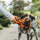 Игрушка для собак Rope Toy Scout & About Honeycomb Pet Play 8418 фото 2