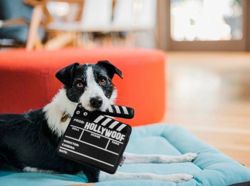 Игрушка для собак Hollywoof Cinema Collection - Doggy Director Board Pet Play 12365 фото