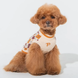 Светр для собак Puppia Gizmo PAXD-TS2058 Ivory 8929 фото 3