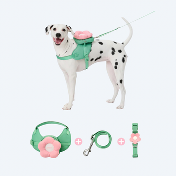 Комплект 3в1 для собак VETRESKA Flora &mdash; шлейка-рюкзак, нашийник і повідець у квітковому дизайні 8305 фото