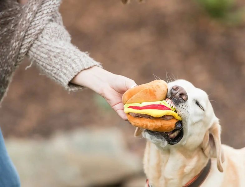 Іграшка для собак American Classie - Burger Pet Play 12508 фото