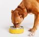 Миска для собак Zee.Dog &ndash; Tuff Bowl Bossa Banana, 1,2 л 9101 фото 1