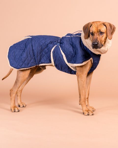 Тёплая попона для собак Paikka Winter Sherpa Jacket Navy 8055 фото