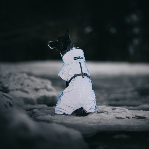 Тёплая попона для собак Paikka Winter Jacket Lilac