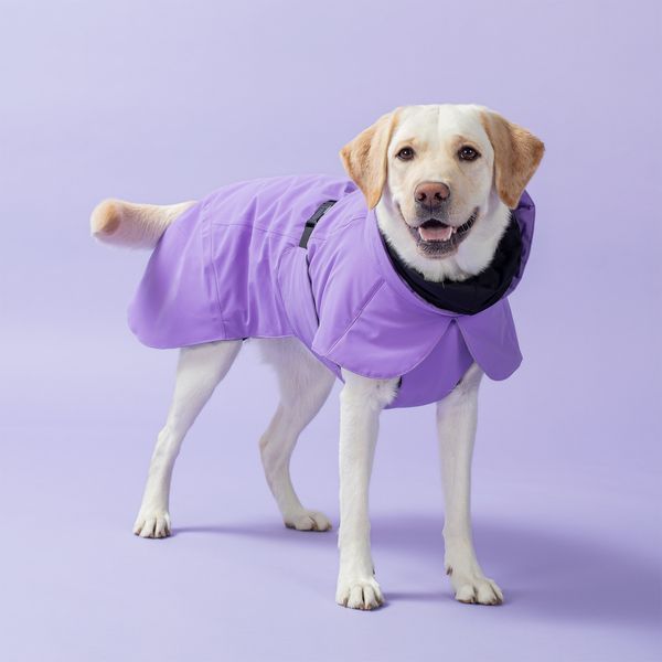 Тепла попона для собак Paikka Winter Jacket Lilac