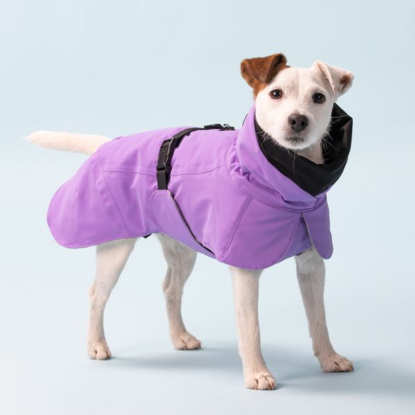 Тёплая попона для собак Paikka Winter Jacket Lilac