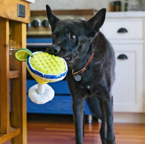 Игрушка для собак Barktender - Margarita Pet Play 10970 фото