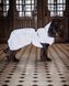 Дождевик для собак с умным светоотражающим эффектом PAIKKA Visibility Raincoat Lite Taupe